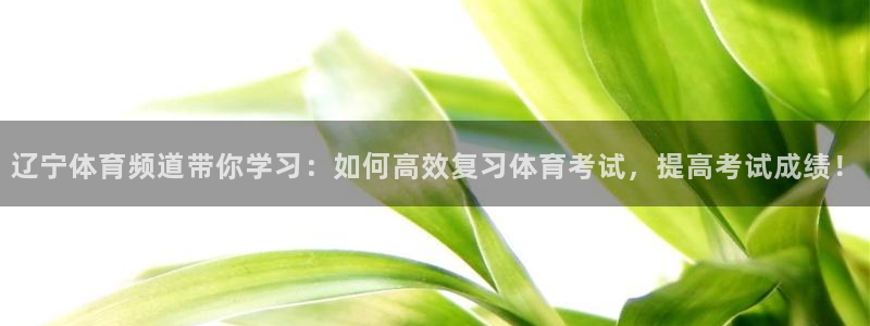nba黑白直播吧：辽宁体育频道带你学习：如何高效复习体育考试，提高考试成绩！