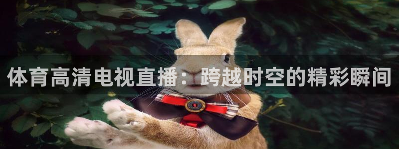 黑白体育nba篮球直播：体育高清电视直播：跨越时空的精彩瞬间