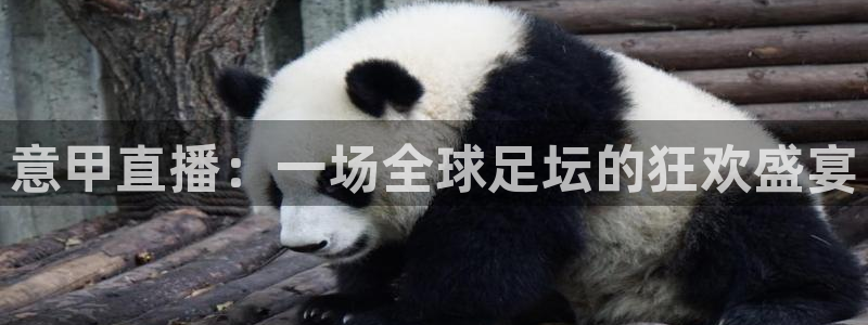 黑白直播体育app官方下载：意甲直播：一场全球足坛的狂欢盛宴
