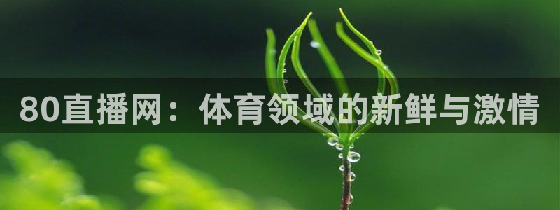 黑白直播nba免费观看篮球下载：80直播网：体育领域的新鲜与激情