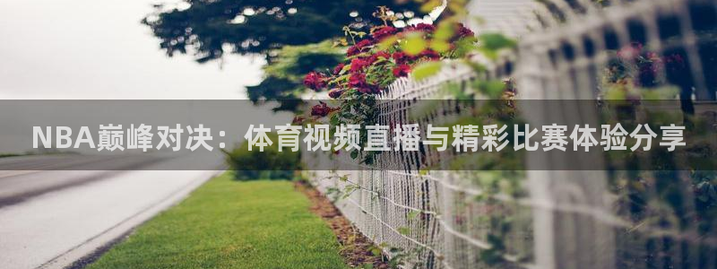 黑白直播体育nba直播在线观看高清：NBA巅峰对决：体育视频直播与精彩比赛体验分享