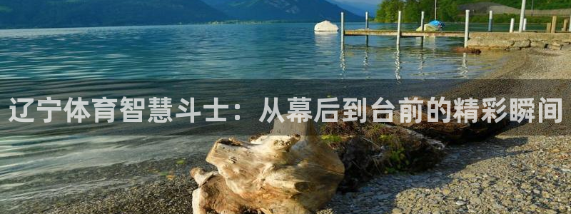 黑白nba免费直播
