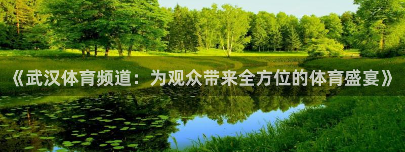 黑白体育免费直播