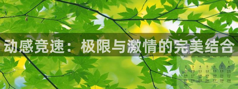 黑白直播体育app官网