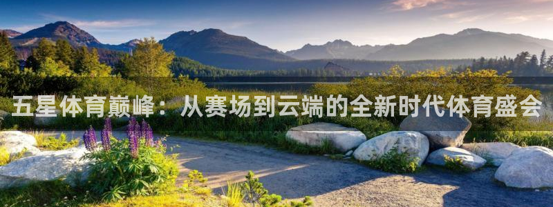 黑白篮球在线免费直播