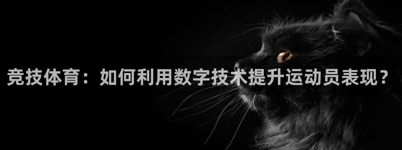 黑白篮球直播nba
