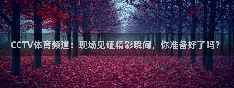 黑白体育在线直播免费观看高清：CCTV体育频道：现场见证精彩瞬间，你准备好了吗？
